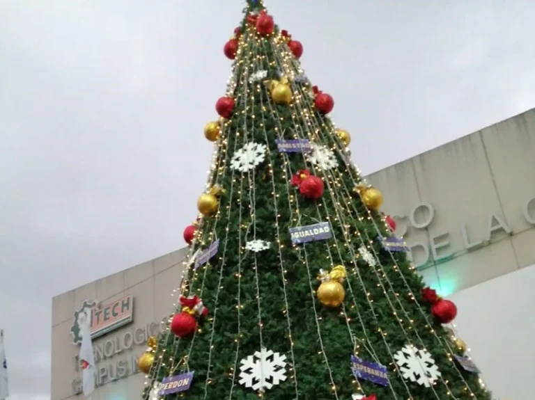Encendido del Árbol de Valores — fotografía 4